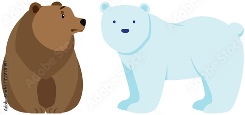 Polar and brown bears side view. Wild animals vector illustration. Large mammals with white and dark fur from around world. Predators isolated on white background. Two bears in one environment