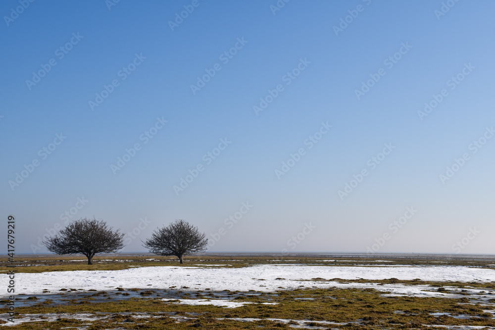 Wide open grassland by Ottenby in Sweden Wide open grassland by Ottenby in Sweden