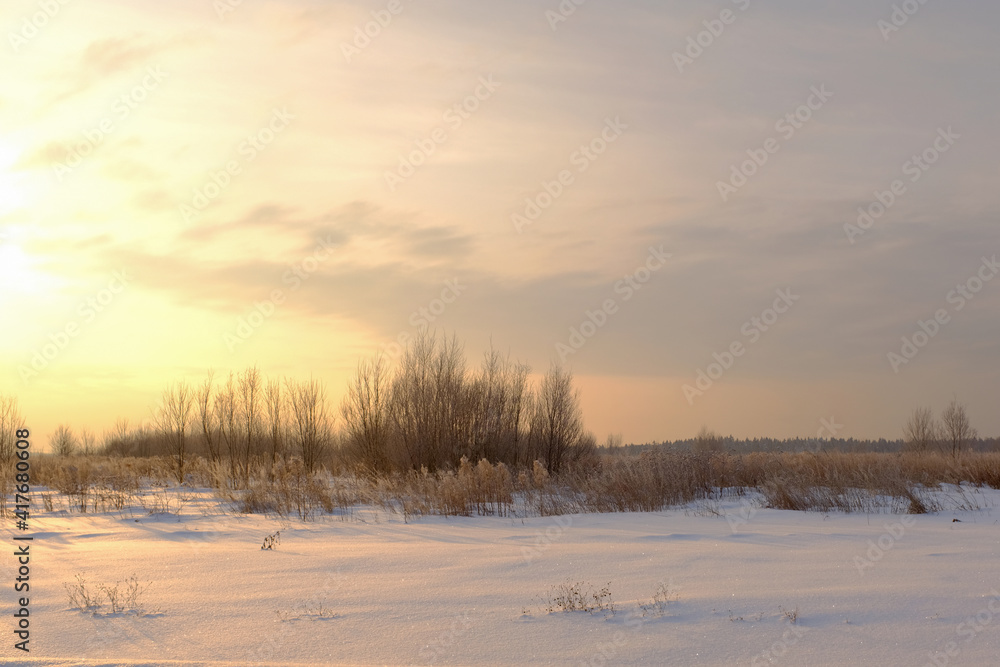 Scenic view of a snow-covered field with shrubs and dry grass during sunrise. Frosty morning. High quality photo.