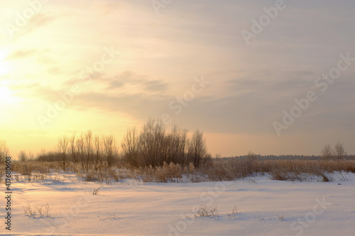 Scenic view of a snow-covered field with shrubs and dry grass during sunrise. Frosty morning. High quality photo.