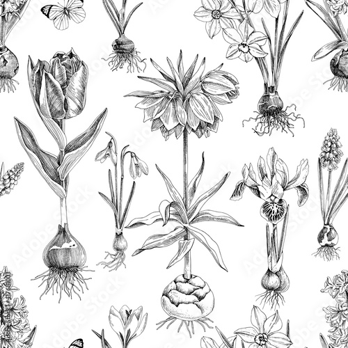 Seamless pattern of hand drawn bulbous flowers