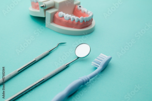Dentist demonstration teeth model with flesh pink gums and dentist tool on blue background.