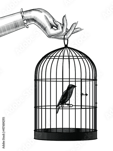 Bird sitting inside a cage. Vintage engraving stylized drawing. Vector illustration