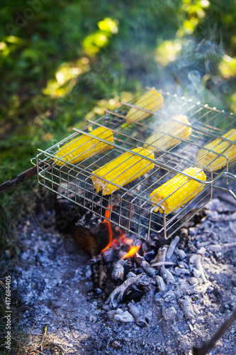 Fried corncobs of yellow juicy corn cooked on a wire rack. Weekend, outdoor recreation. Cooking over an open fire.