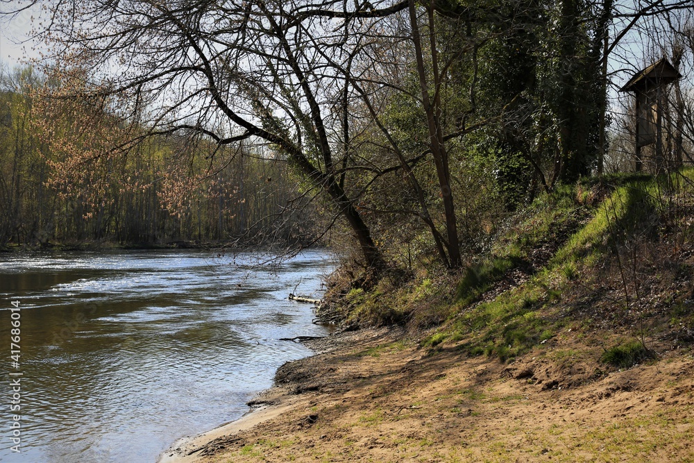 foret nature paysage