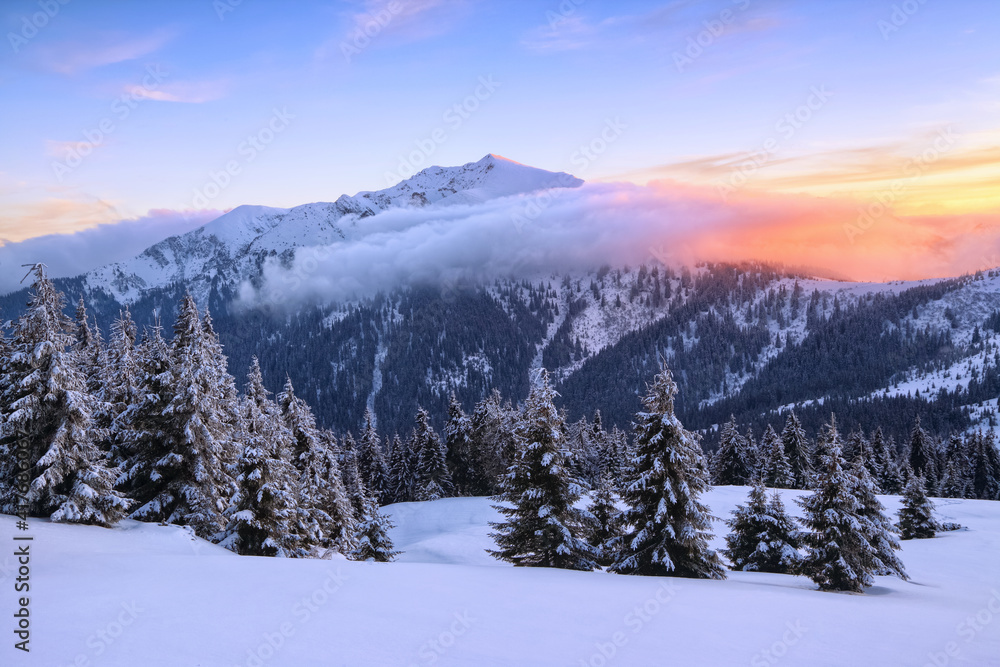 A panoramic view. Winter. Amazing sunrise. Landscape of high mountains with snow white peaks and forests. Aerial view. Wallpaper background. Natural scenery. Location place Carpathian, Ukraine, Europe