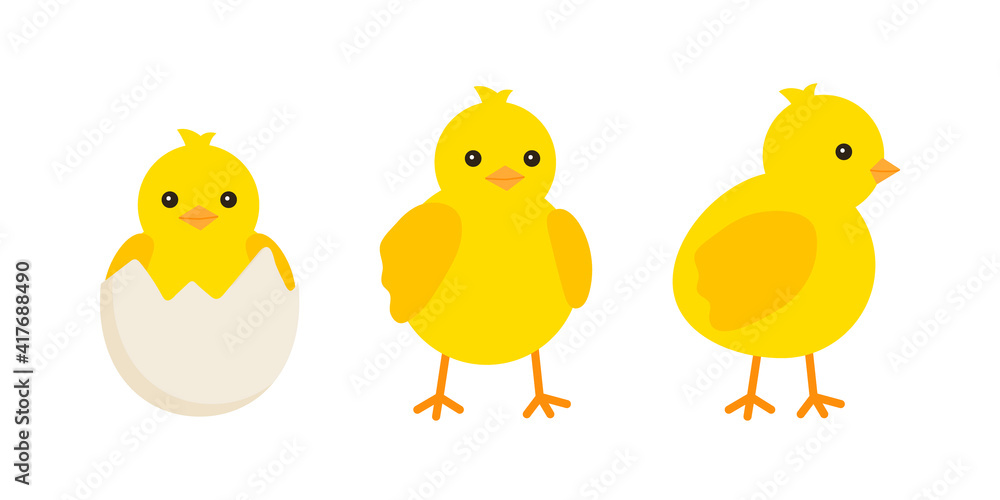 Cute baby chickens set in different poses for easter design. Little yellow cartoon chicks. Vector illustration isolated on white background