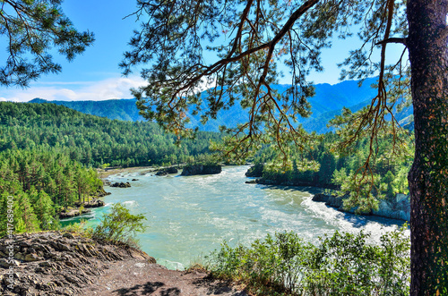 Beautiful sunny summer landscape on place where Chemal River flows into Katun River - two fast mountains rivers with rocky banks coniferous forest covered, Altai mountains, Russia © rvo233