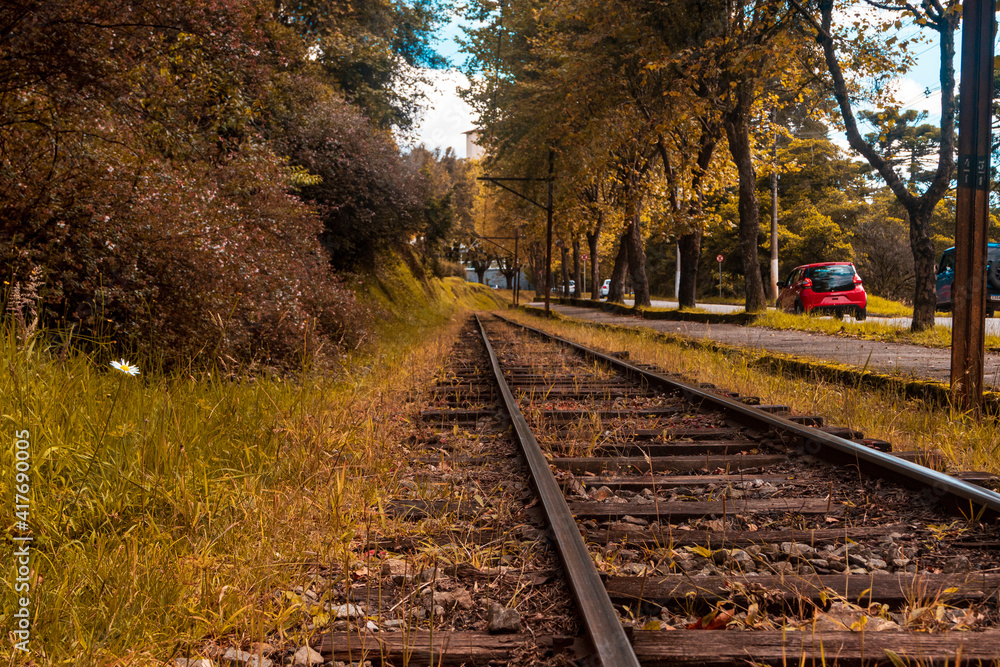 Train line closeup with trees in autumn.