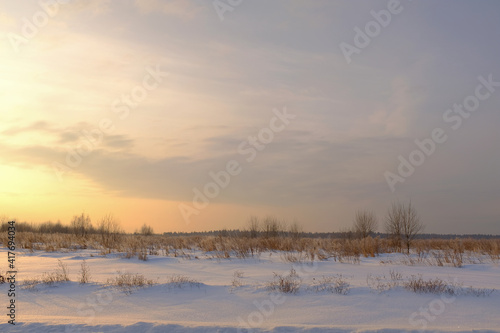 Scenic view of a snow-covered field with shrubs and dry grass during sunrise. Frosty morning. High quality photo. © Александр Овсянников