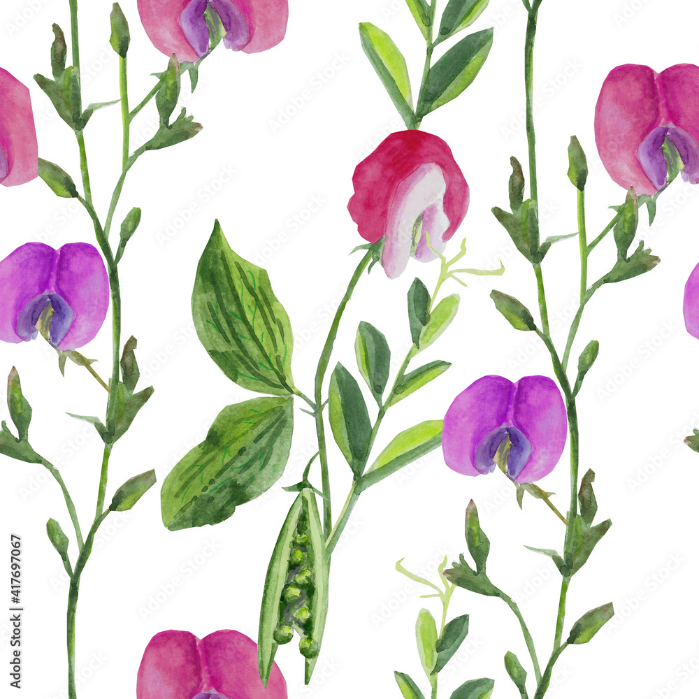 Sweet pea seamless watercolor pattern Sweet pea seamless watercolor pattern