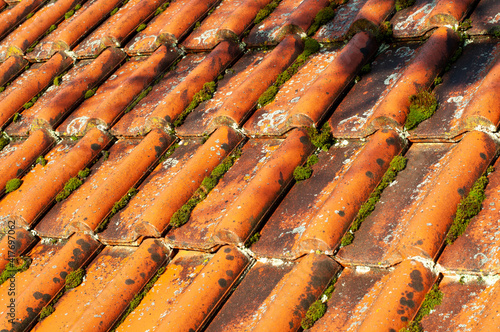 Obraz na płótnie moss and lichens growing on roof tiles w salonie