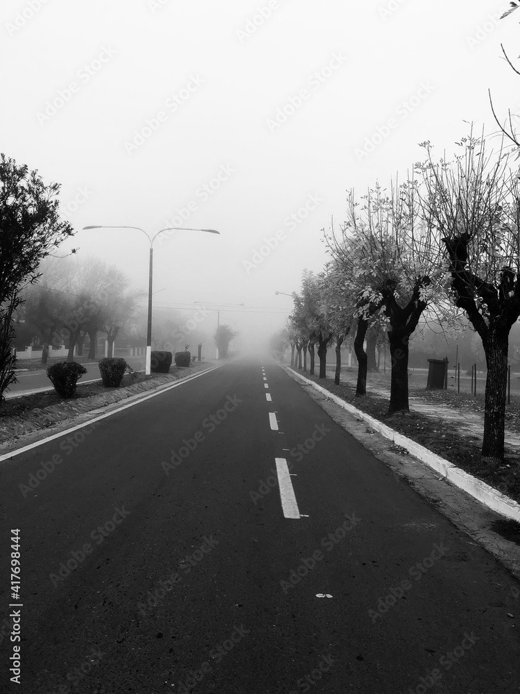 road in the fog