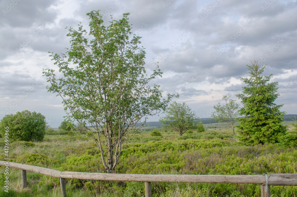 Die Landschaft des Die Landschaft des