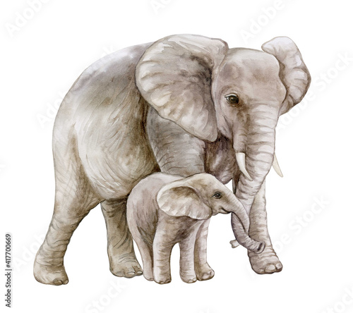 Photography African elephant with a child