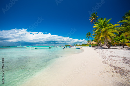 Palm i tropikalnej plaży w Punta Cana, Dominikana