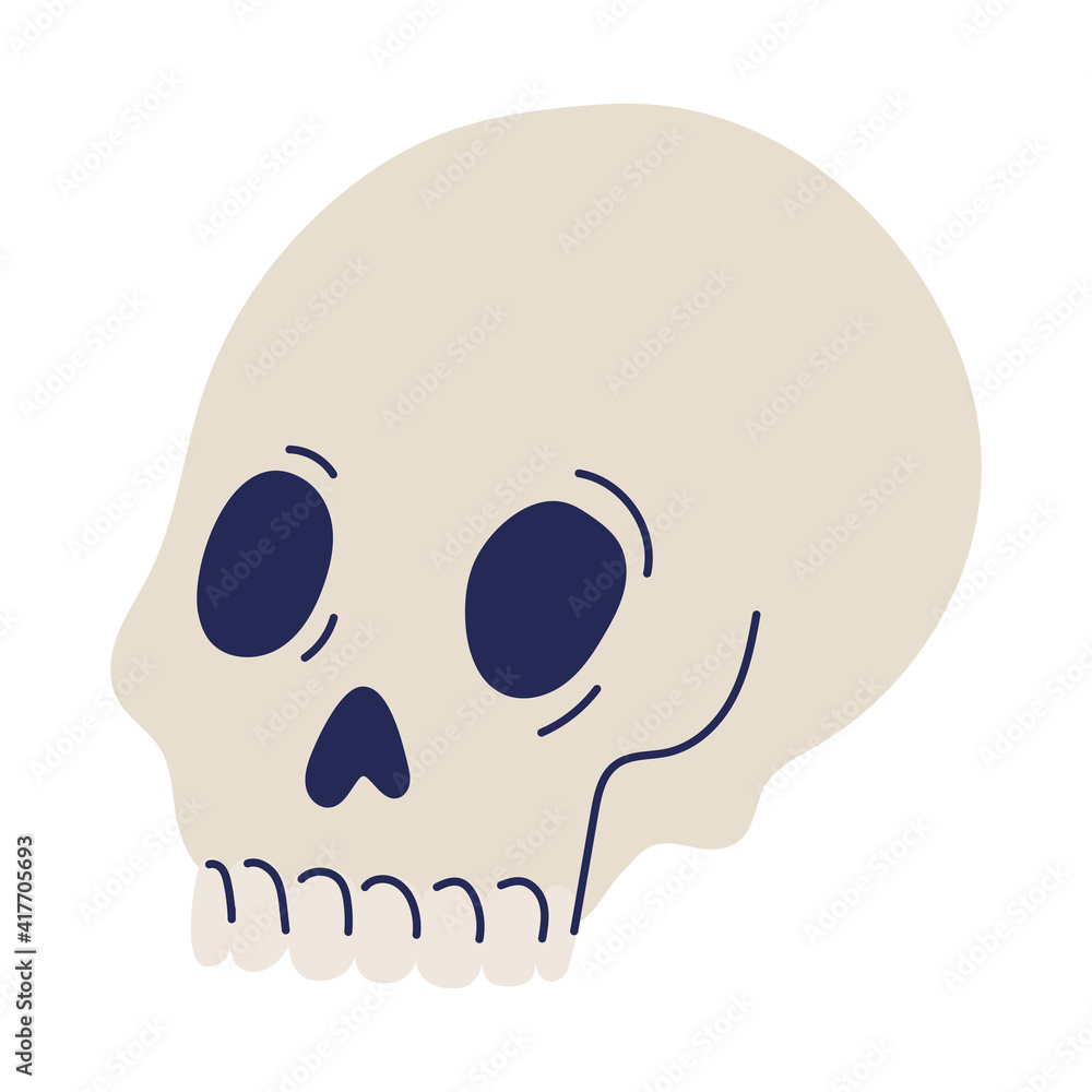 skull on a white background