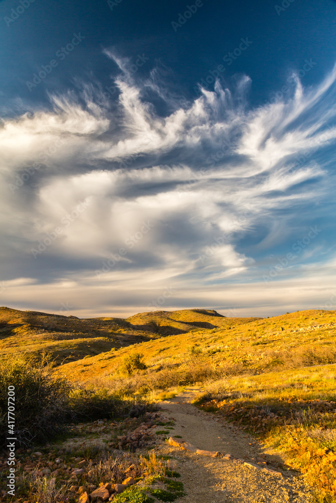 Fototapeta premium USA, Arizona, Globe. Desert landscape in Round Mountain Park.