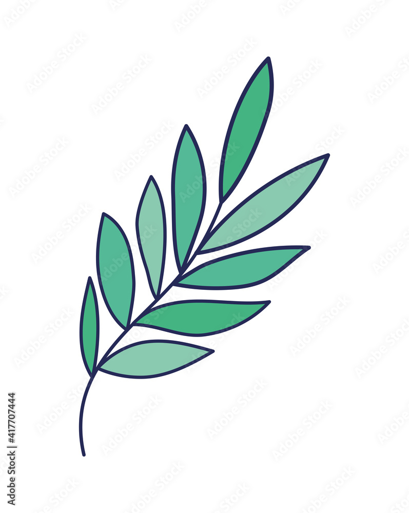 plant in a white background