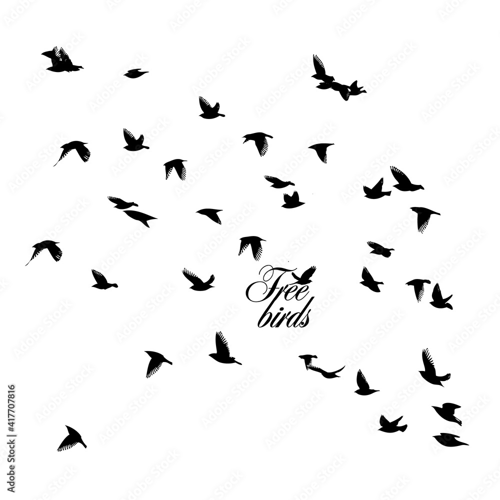 A large flock of flying birds. Free birds. Vector illustration A large flock of flying birds. Free birds. Vector illustration