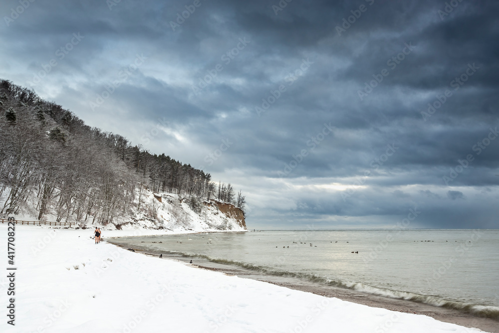 Beautiful winter see landscape with polar bear planges,  panorama, Baltic See