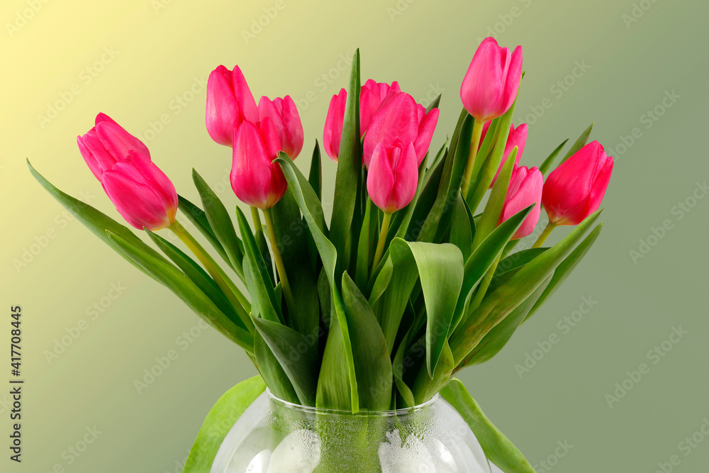 Ein Strauß von Tulpen in einer Vase