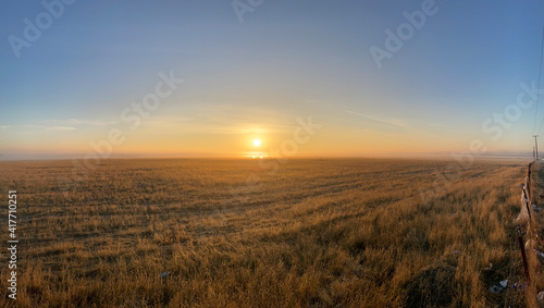 field of wheat © SF Viking