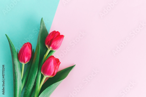 Fototapeta Naklejka Na Ścianę i Meble -  Tender pink tulips on pastel pink and turquoise background. Greeting card for Women's day.