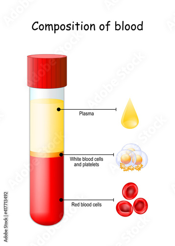 Blood Composition. Test tube