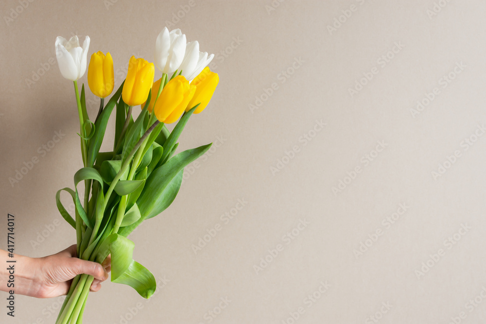 Tulips are yellow, white in the hand on a gray background. The concept of flower delivery. Congratulations on Mother's Day, International Women's Day, Birthday. Bright spring greeting card, copy space Tulips are yellow, white in the hand on a gray background. The concept of flower delivery. Congratulations on Mother's Day, International Women's Day, Birthday. Bright spring greeting card, copy space