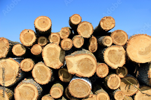 Pile of wood after deforestation. Tree logs. Dry chopped firewood logs stacked up on top of each other. Brown logs.