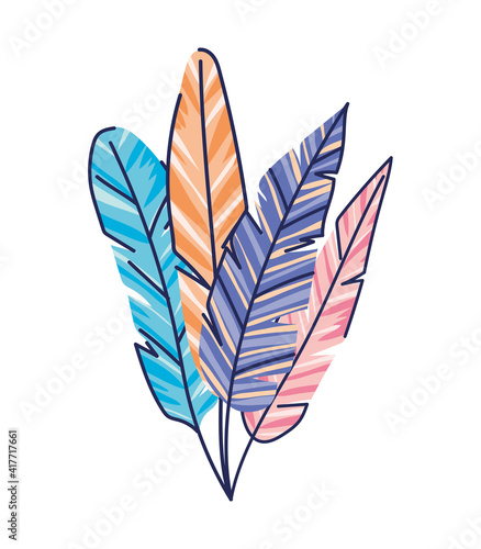 set of feather of different colors