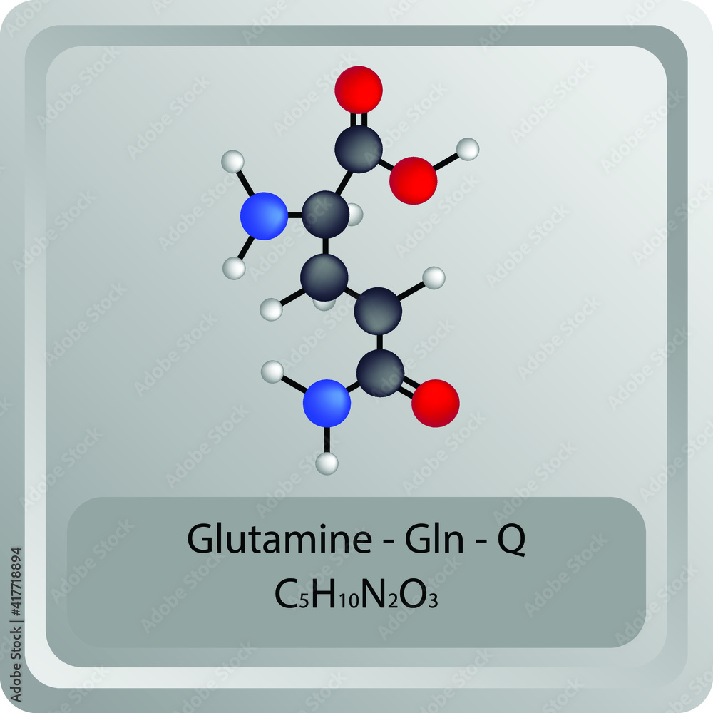 Glutamine Gln Q Amino Acid Chemical Structure Molecular Formula Ball And Stick Model Of 6424