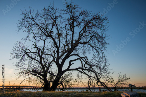 USA, California, Sacramento-San Joaquin Delta (south shore). Dutch Slough, east of Oakley near Bethel Island.
