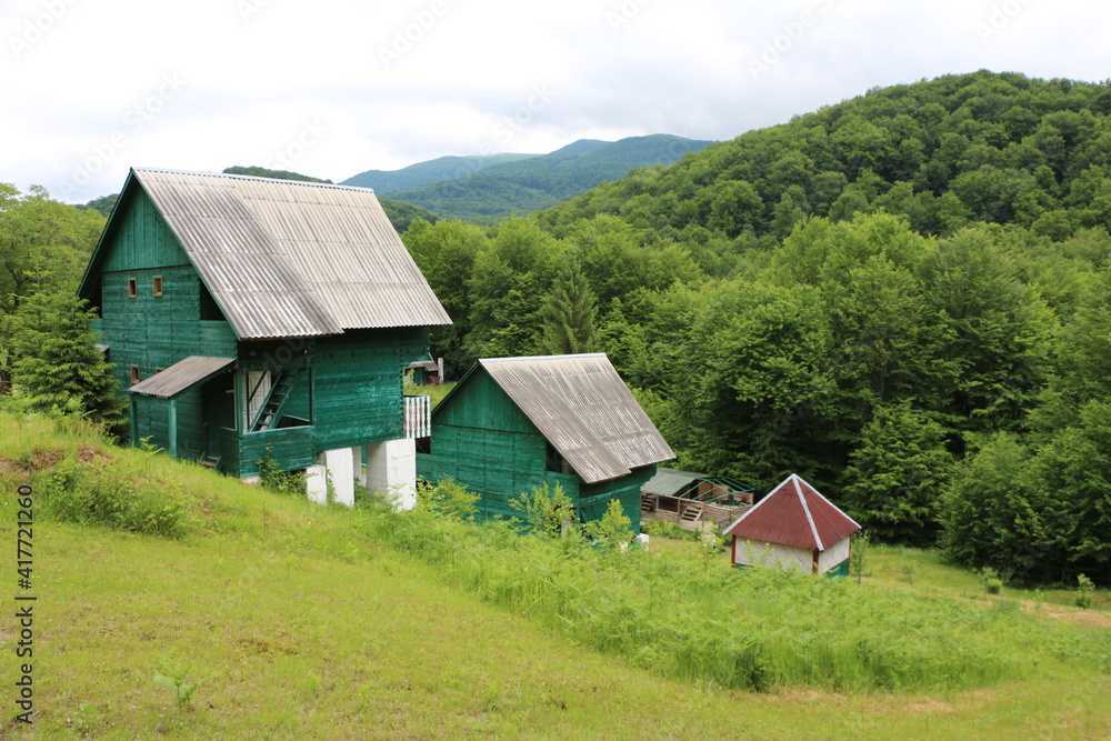 Fototapeta premium Village green landscape. Cottage at the beautiful mountains background