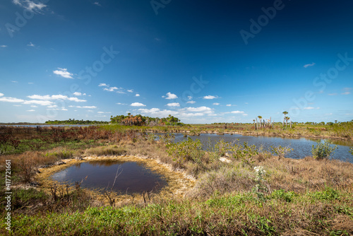 Beautiful winter tropical weather Floridian Landscape © robitaillee