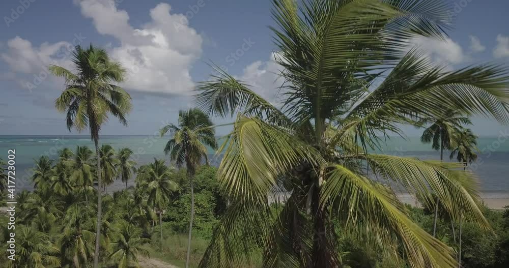 Maceio Alagoas City Nordeste Brazil Landscape Drone Aerial Nature Ocean Sea Boats Maceio Alagoas City Nordeste Brazil Landscape Drone Aerial Nature Ocean Sea Boats