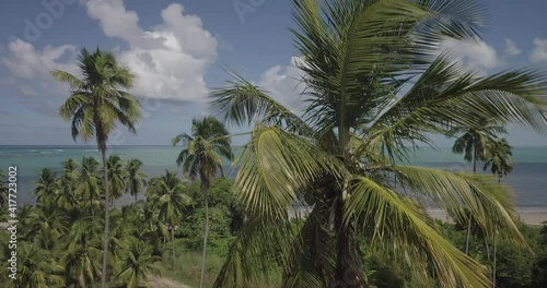 Wallpaper Mural Maceio Alagoas City Nordeste Brazil Landscape Drone Aerial Nature Ocean Sea Boats  Torontodigital.ca