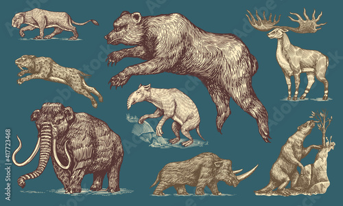 Mammoth or extinct elephant, Woolly rhinoceros Cave bear lion. Panthera Saber toothed tiger, Irish elk or deer, Ground sloth, Megatheriidae. Vintage animal. Retro Mammals. Hand drawn engraved sketch.