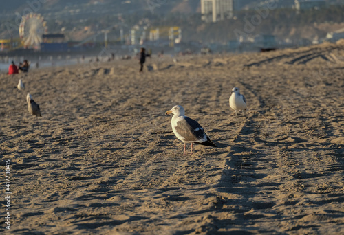Los Angeles. Santa Monica Pier. Sunset
