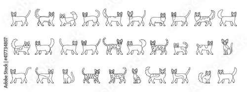 Set of cats outlines. Cats breeds - Vector illustration