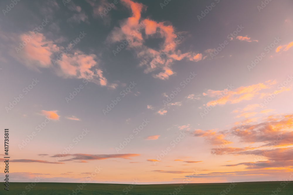 Spring Sunset Sky Above Countryside Rural Meadow Landscape. Wheat Field Under Sunny Spring Sky. Skyline. Agricultural Landscape With Growing Green Young Wheat Shoots, Wheat Germs.