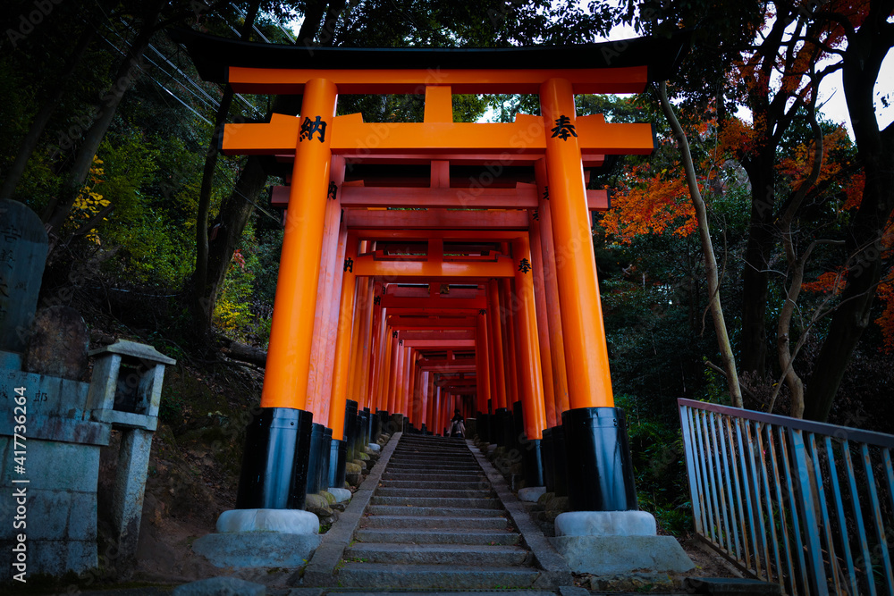 Japanese traditional Torii in Kyoto. 京都の鳥居