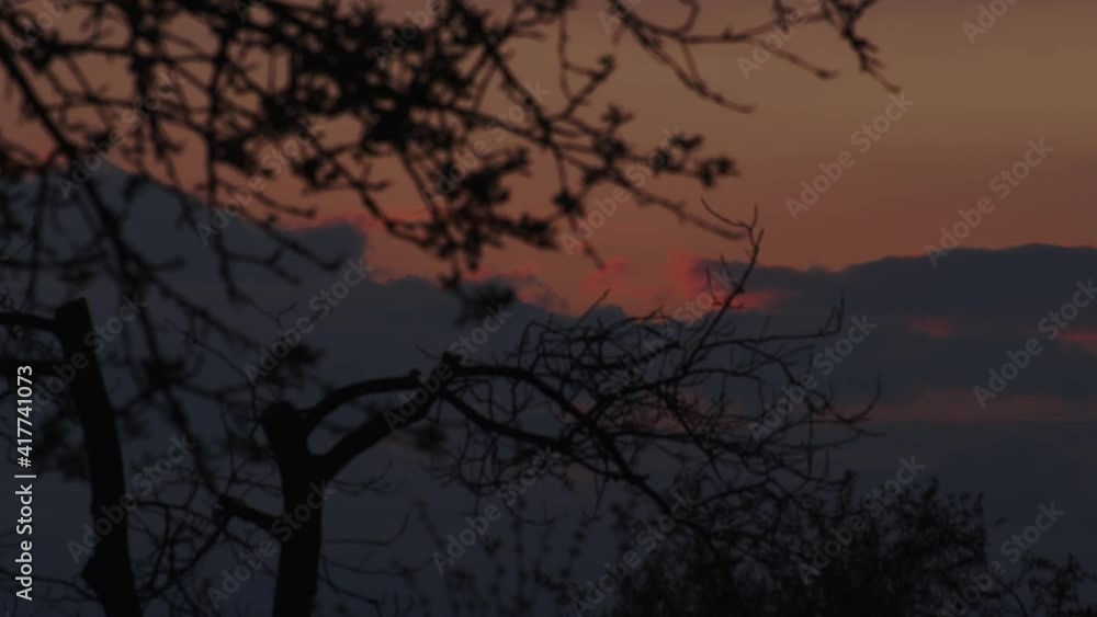 Moody and dark evening scenery with grey and red sky and trees Moody and dark evening scenery with grey and red sky and trees
