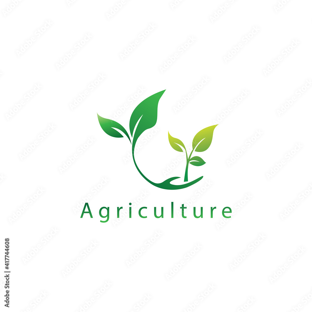 shoots of plants logo agriculture illustration of leaves circle vector design