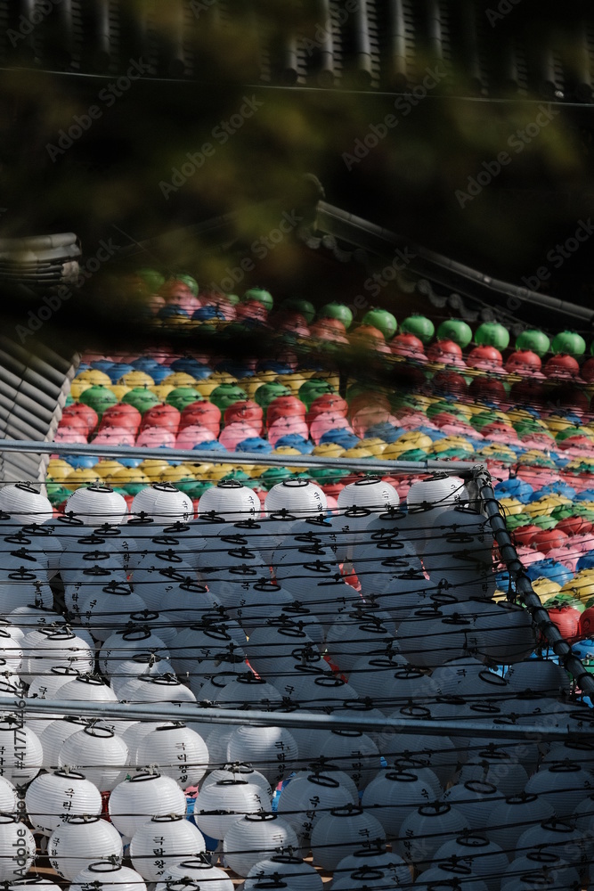 Obraz premium temple lotus lights