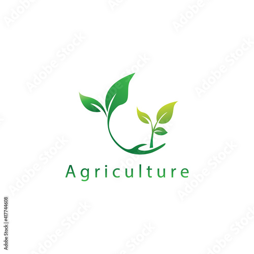 shoots of plants logo agriculture illustration of leaves circle vector design