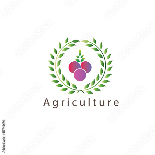 vintage grapes leaf circle farm logo design vector