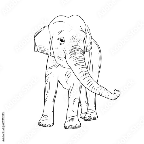 Elephant isolated on white background. Realistic Indian elephant with upturned trunk. Sketch vector illustration