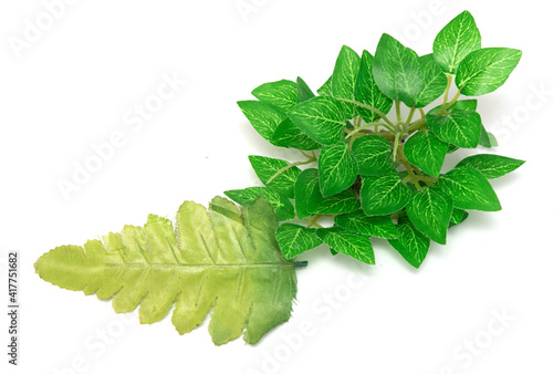 green plastic leaves on white background